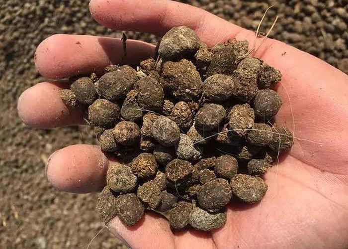 肥料粒剤 肥料粒剤 肥料粒剤 肥料粒剤 肥料粒剤 肥料粒剤 肥料粒剤 肥料粒剤 肥料粒剤 肥料粒剤 肥料粒剤 肥料粒剤